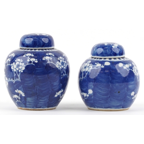 141 - Two Chinese blue and white porcelain ginger jars with hand painted floral decoration, the largest 15... 