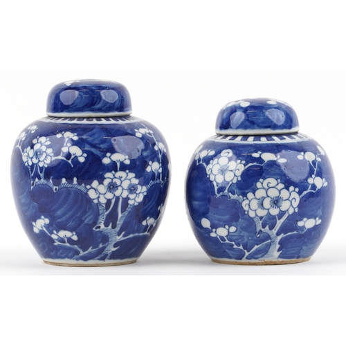 141 - Two Chinese blue and white porcelain ginger jars with hand painted floral decoration, the largest 15... 