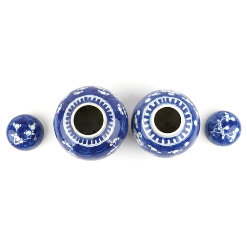 141 - Two Chinese blue and white porcelain ginger jars with hand painted floral decoration, the largest 15... 