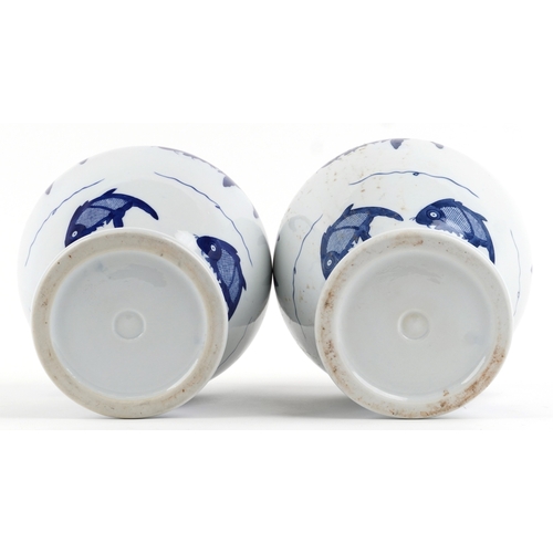 465 - A matched pair of Chinese blue and white porcelain vases and covers hand painted with fish, the larg... 