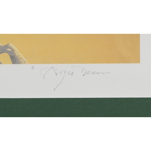 2241 - Roger Dean - The Progeny Paintings Portfolio, a 20th century British school signed print, framed and... 