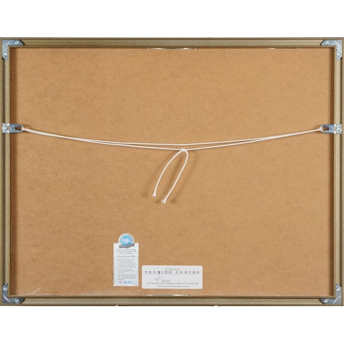 2241 - Roger Dean - The Progeny Paintings Portfolio, a 20th century British school signed print, framed and... 