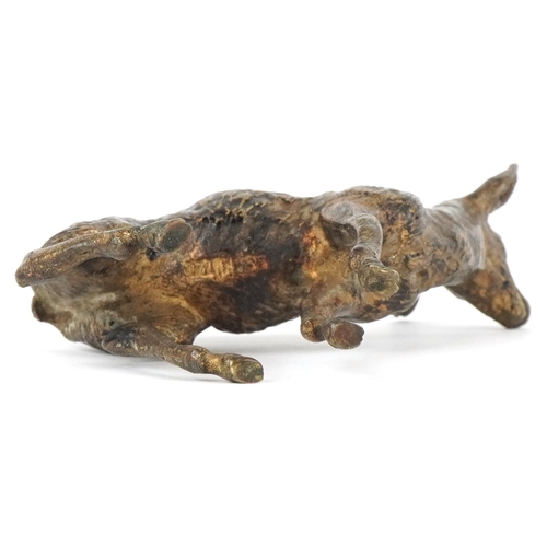 229 - An German cold painted bronze deer, impressed Geschutzt to the base, 8cm high.