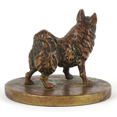 228 - An early 20th century bronze study of a Keeshond dog raised on a circular base, 4.5cm high.