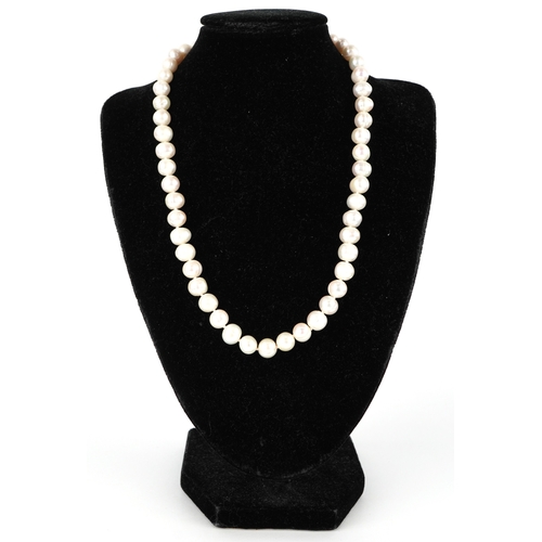 3299 - A cultured pearl necklace with a 14K gold clasp, 44cm in length, 47.0g.