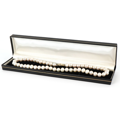3299 - A cultured pearl necklace with a 14K gold clasp, 44cm in length, 47.0g.