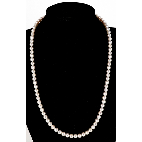 3288 - A cultured pearl necklace with a 14K gold clasp, 44cm in length, 17.7g.