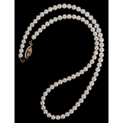 3288 - A cultured pearl necklace with a 14K gold clasp, 44cm in length, 17.7g.