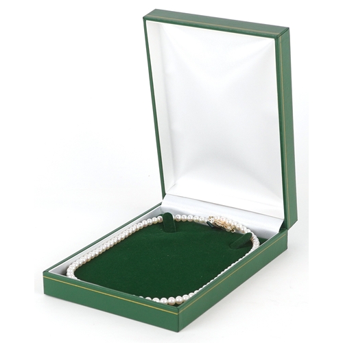 3288 - A cultured pearl necklace with a 14K gold clasp, 44cm in length, 17.7g.