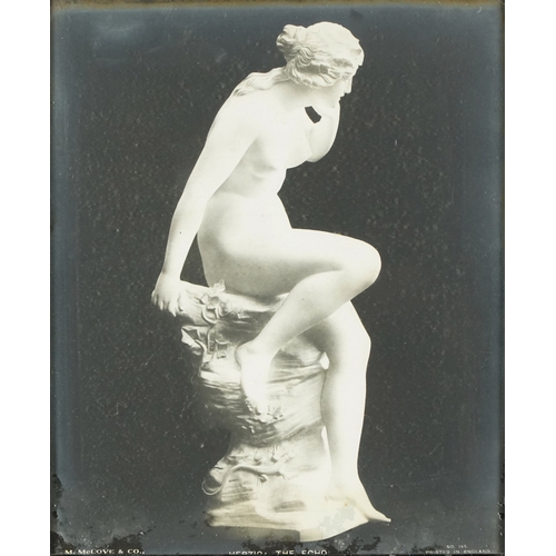 2319 - A pair of M. McLove & Co. black and white photographic prints of famous sculptures including Herzig ... 