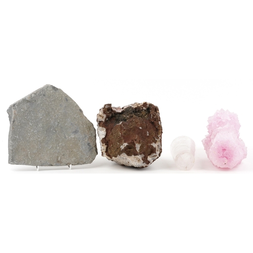 339 - Natural history and geology interest specimens including a quartz geode, the largest 29cm high.