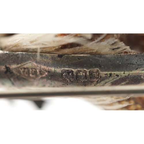 3371 - A Scottish silver grouse foot brooch, 8cm wide, 11.0g.