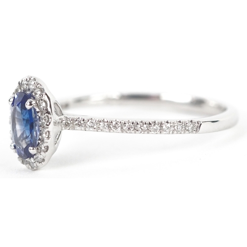 3155 - A platinum sapphire and diamond cluster ring with diamond set shoulders, total diamond weight 0.18 c... 