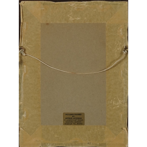 2477 - A pair of 19th century hand coloured engravings, street scenes, each indistinctly signed, frame and ... 