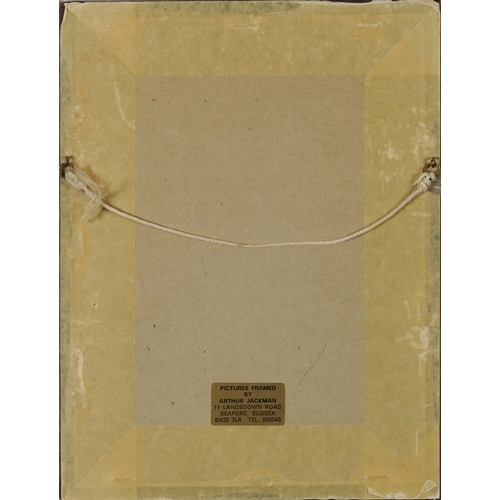 2477 - A pair of 19th century hand coloured engravings, street scenes, each indistinctly signed, frame and ... 