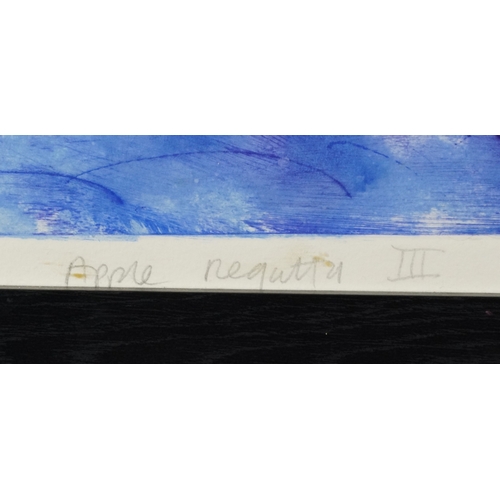 2251 - John D Edwards - Apple Regatta III, Modern British school watercolour on paper, signed and dated, fr... 