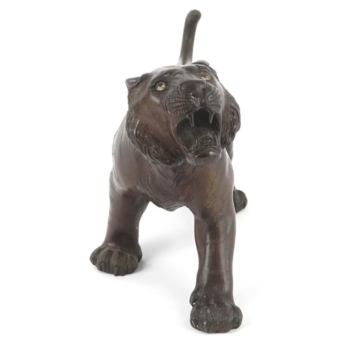  A Japanese bronze okimono figure of a tiger bearing signature to the base, 30cm in length.