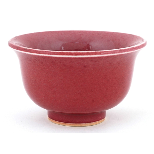 Lot 260       