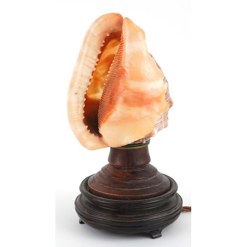  19th century cameo conch shell table lamp carved with a female with a swan, 20cm high.