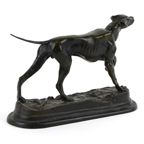 5 - Patinated bronze study of a Pointer dog, 26cm in length.