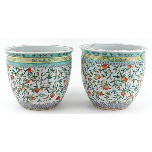44 - Large near pair of Chinese export porcelain fish bowl planters hand painted with fruit on vines, 35c... 