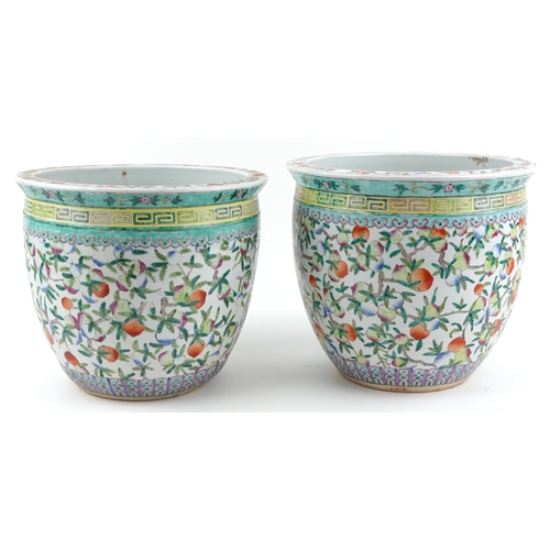 44 - Large near pair of Chinese export porcelain fish bowl planters hand painted with fruit on vines, 35c... 