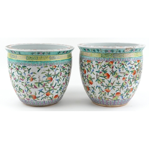 44 - Large near pair of Chinese export porcelain fish bowl planters hand painted with fruit on vines, 35c... 