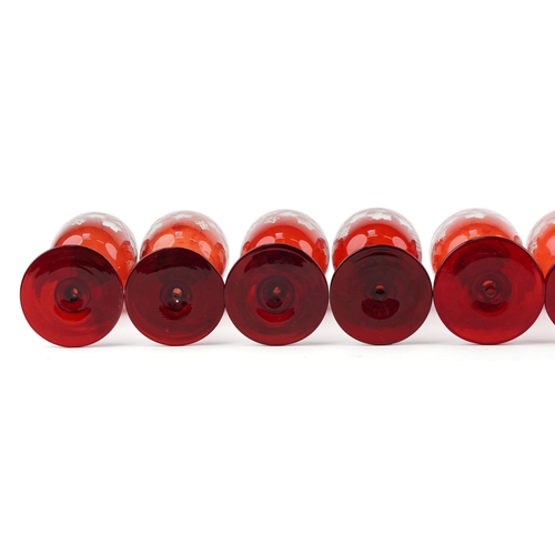 35 - Eight antique Bohemian cranberry glasses etched with grapevines, 15cm high.