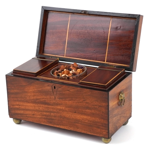 356 - Edwardian mahogany twin divisional tea caddy with lion head handles and glass mixing bowl, 17.5cm H ... 