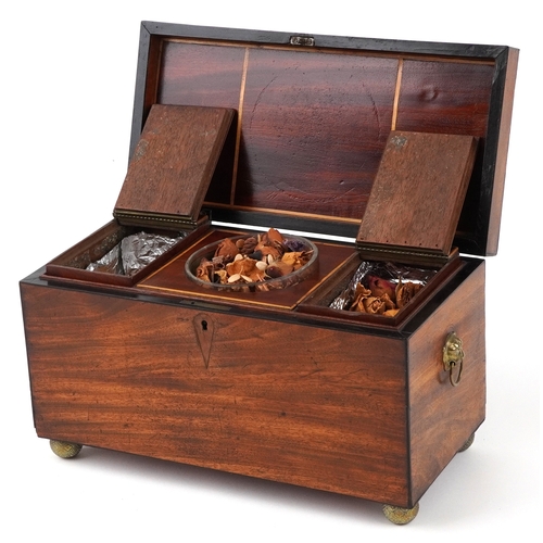 356 - Edwardian mahogany twin divisional tea caddy with lion head handles and glass mixing bowl, 17.5cm H ... 