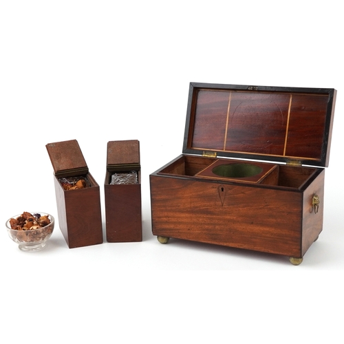 356 - Edwardian mahogany twin divisional tea caddy with lion head handles and glass mixing bowl, 17.5cm H ... 