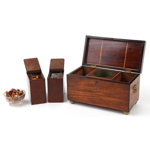 356 - Edwardian mahogany twin divisional tea caddy with lion head handles and glass mixing bowl, 17.5cm H ... 