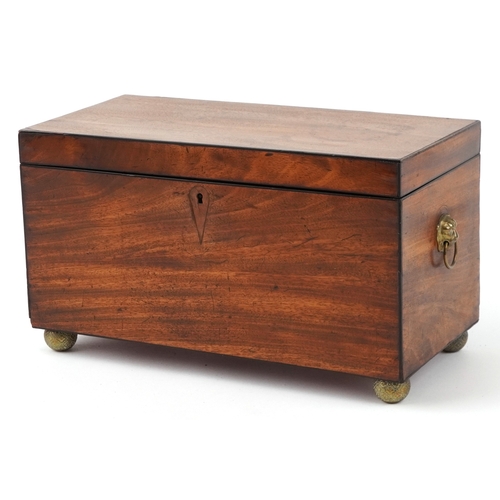 356 - Edwardian mahogany twin divisional tea caddy with lion head handles and glass mixing bowl, 17.5cm H ... 