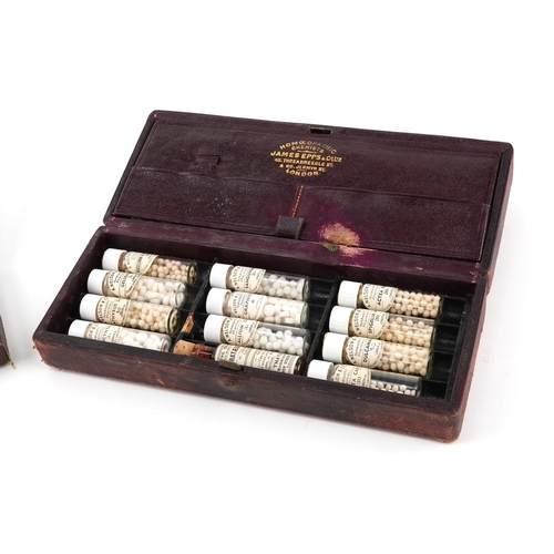 130 - Antique pharmaceutical glass bottles, some housed in a leather James Epps & Co. Ltd. Homeopathic Che... 