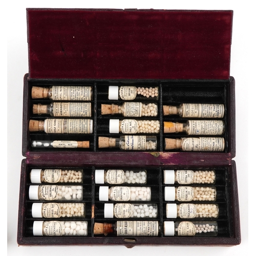 130 - Antique pharmaceutical glass bottles, some housed in a leather James Epps & Co. Ltd. Homeopathic Che... 