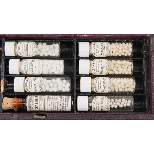 130 - Antique pharmaceutical glass bottles, some housed in a leather James Epps & Co. Ltd. Homeopathic Che... 