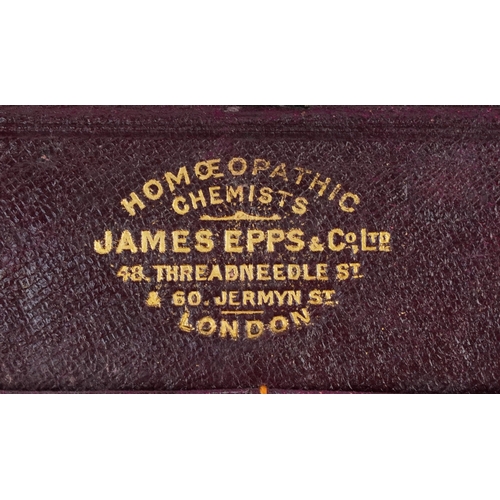 130 - Antique pharmaceutical glass bottles, some housed in a leather James Epps & Co. Ltd. Homeopathic Che... 