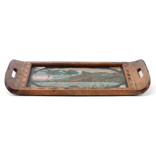 201 - Vintage Rio de Janeiro butterfly wing tray, 42cm wide.