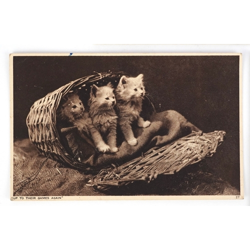 1357 - Early 20th century cat postcards including Louis Wain and Valentine's series 597.