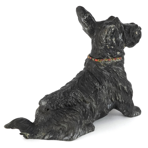 44 - Early 20th century cold painted spelter novelty table lighter/ashtray in the form of a Terrier, 18cm... 
