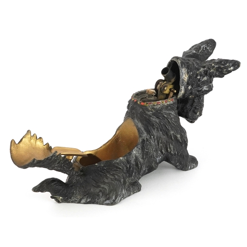 44 - Early 20th century cold painted spelter novelty table lighter/ashtray in the form of a Terrier, 18cm... 