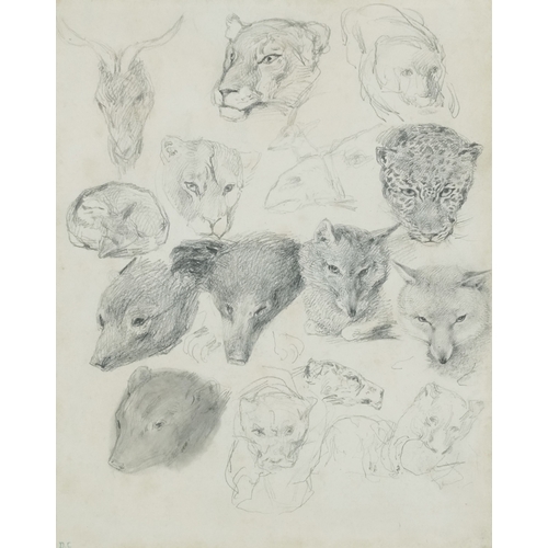 Alexandre-Gabriel Decamps - Heads of wild animals, 19th century French school sketch on paper, monogrammed, mounted, framed and glazed, 27cm x 22cm.