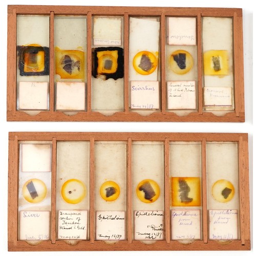  Victorian set of microscope glass slides, dated 1886-1887, housed in a J B Medland Optician London b... 