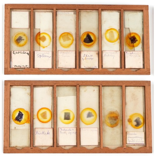  Victorian set of microscope glass slides, dated 1886-1887, housed in a J B Medland Optician London b... 