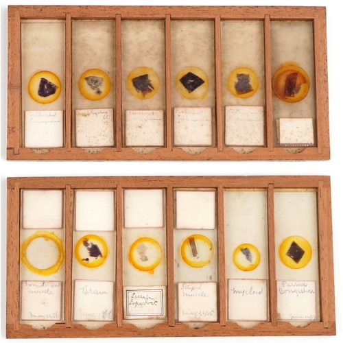  Victorian set of microscope glass slides, dated 1886-1887, housed in a J B Medland Optician London b... 