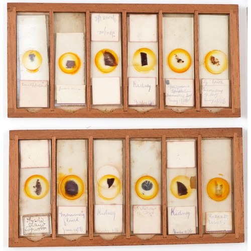  Victorian set of microscope glass slides, dated 1886-1887, housed in a J B Medland Optician London b... 