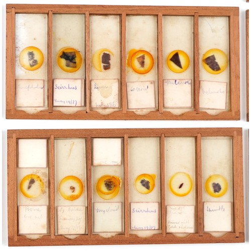  Victorian set of microscope glass slides, dated 1886-1887, housed in a J B Medland Optician London b... 