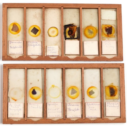  Victorian set of microscope glass slides, dated 1886-1887, housed in a J B Medland Optician London b... 
