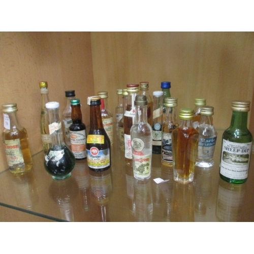 221 - COLLECTION OF MINIATURE BOTTLES SHEEP DIP, PIG'S NOSH AND MORE