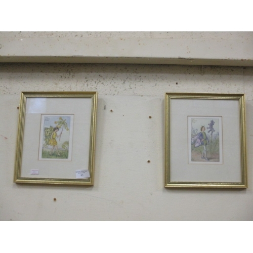 85 - 2 SMALL FRAMED AND GLAZED FAIRY PRINTS THE COWSLIP FAIRY, AND THE BLUEBELL FAIRY